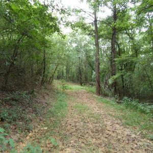 Photo #2 of Nc 138, Norwood, NC