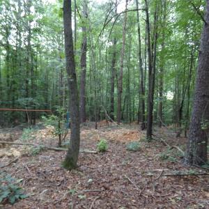 Photo #7 of Nc 138, Norwood, NC