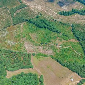 Photo #3 of Black Creek Church, Jefferson, SC