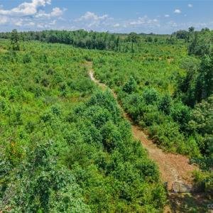 Photo #7 of Black Creek Church, Jefferson, SC