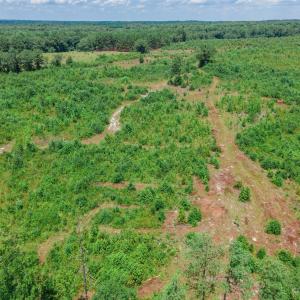 Photo #9 of Black Creek Church, Jefferson, SC