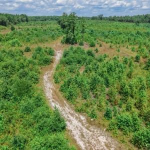 Photo #8 of Black Creek Church, Jefferson, SC