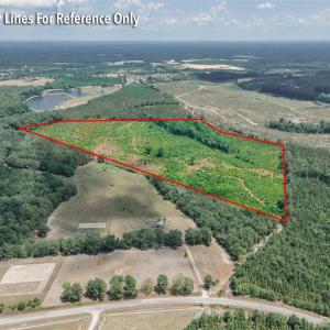 Photo #2 of Black Creek Church, Jefferson, SC