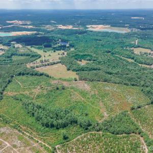 Photo #5 of Black Creek Church, Jefferson, SC