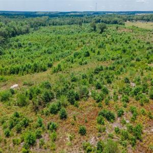 Photo #10 of Black Creek Church, Jefferson, SC