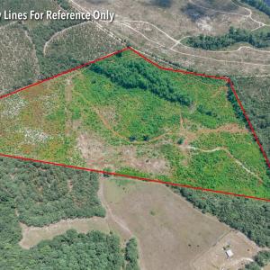 Photo #4 of Black Creek Church, Jefferson, SC