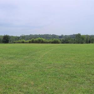 Photo #3 of 1175 Mccoy Farm, Salisbury, NC