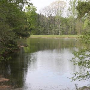 Photo #12 of 844 Bellegray, Clover, SC