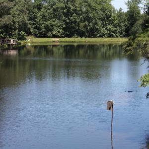 Photo #3 of 844 Bellegray, Clover, SC