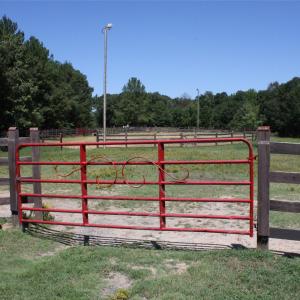 Photo #9 of 844 Bellegray, Clover, SC