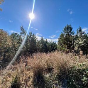 Photo #8 of 11.53 acres Old Camden, Lancaster, SC
