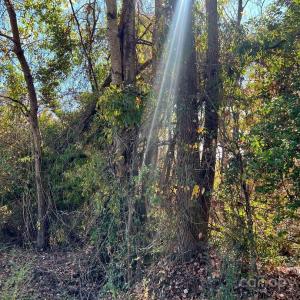 Photo #11 of 11.53 acres Old Camden, Lancaster, SC