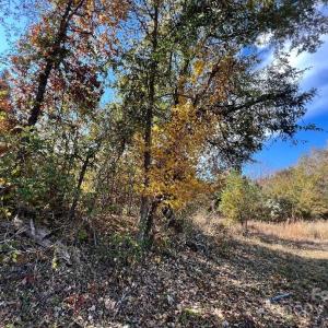 Photo #14 of 11.53 acres Old Camden, Lancaster, SC