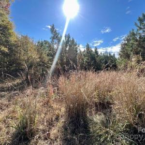 Photo #3 of 11.53 acres Old Camden, Lancaster, SC