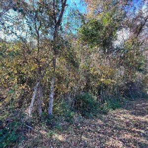 Photo #7 of 11.53 acres Old Camden, Lancaster, SC