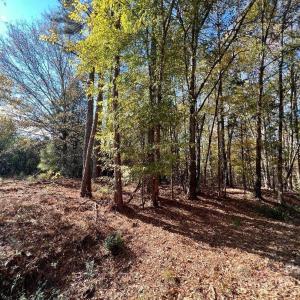 Photo #13 of 11.53 acres Old Camden, Lancaster, SC