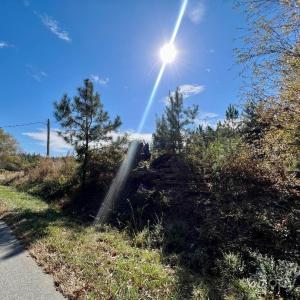 Photo #20 of 11.53 acres Old Camden, Lancaster, SC