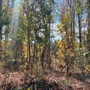 Photo #9 of 11.53 acres Old Camden, Lancaster, SC