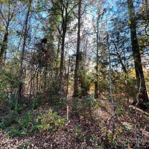 Photo #19 of 11.53 acres Old Camden, Lancaster, SC