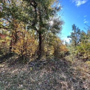 Photo #4 of 11.53 acres Old Camden, Lancaster, SC