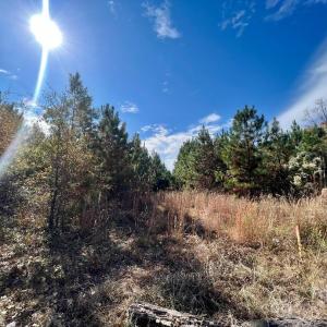 Photo #2 of 11.53 acres Old Camden, Lancaster, SC