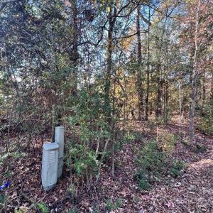 Photo #18 of 11.53 acres Old Camden, Lancaster, SC