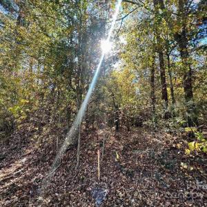 Photo #24 of 11.53 acres Old Camden, Lancaster, SC