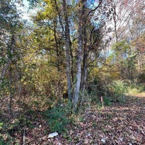 Photo #15 of 11.53 acres Old Camden, Lancaster, SC