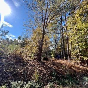 Photo #21 of 11.53 acres Old Camden, Lancaster, SC