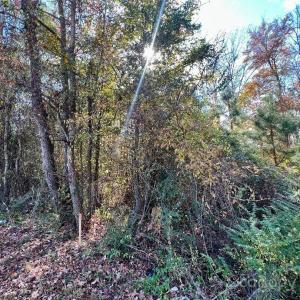 Photo #16 of 11.53 acres Old Camden, Lancaster, SC