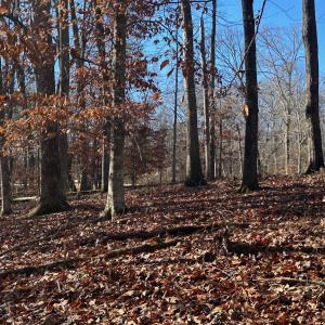 Photo #4 of LOT 74 Edgewater, Norwood, NC