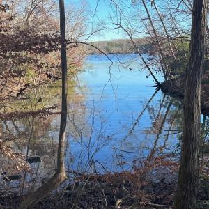 Photo #1 of LOT 74 Edgewater, Norwood, NC