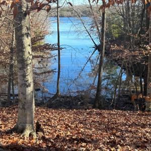 Photo #3 of LOT 74 Edgewater, Norwood, NC