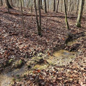 Photo #1 of John Furr, Concord, NC