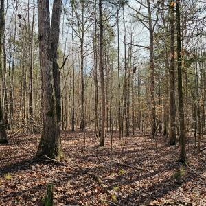 Photo #5 of John Furr, Concord, NC