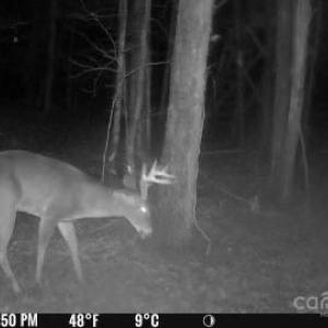 Photo #12 of John Furr, Concord, NC