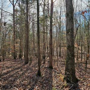 Photo #3 of John Furr, Concord, NC