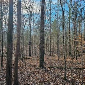 Photo #9 of John Furr, Concord, NC