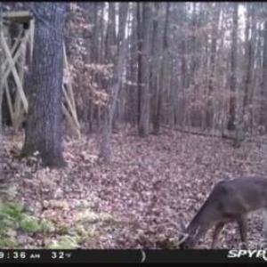 Photo #17 of John Furr, Concord, NC