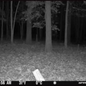 Photo #13 of John Furr, Concord, NC