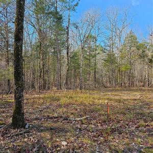 Photo #11 of John Furr, Concord, NC