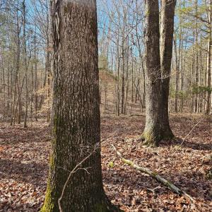 Photo #4 of John Furr, Concord, NC