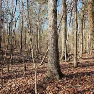 Photo #2 of John Furr, Concord, NC