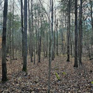 Photo #10 of John Furr, Concord, NC