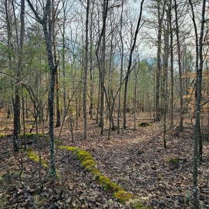 Photo #8 of John Furr, Concord, NC