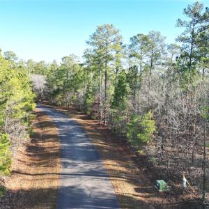 Photo #13 of 94 Riverbluff, Lilesville, NC