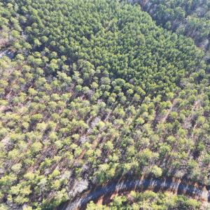 Photo #18 of 94 Riverbluff, Lilesville, NC