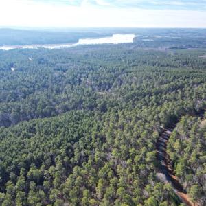 Photo #17 of 94 Riverbluff, Lilesville, NC