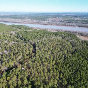 Photo #16 of 94 Riverbluff, Lilesville, NC