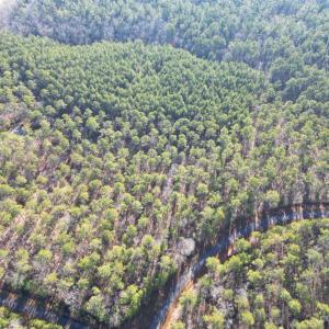 Photo #19 of 94 Riverbluff, Lilesville, NC